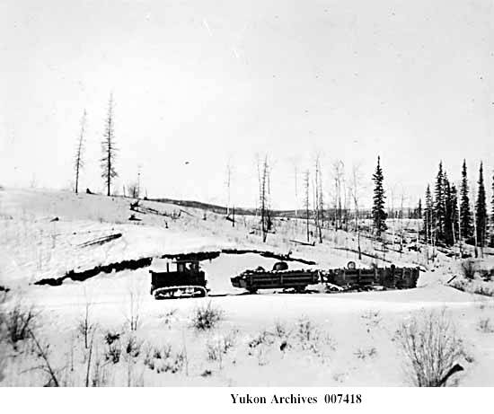 Cat-Train-7418.jpg