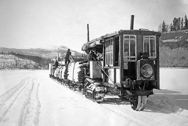 cattrain2.jpg